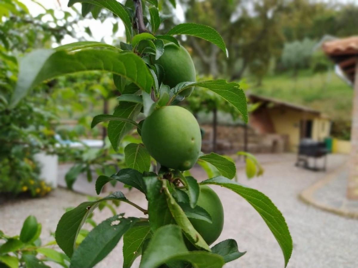 Casa Rural El Bonito Cazalla de la Sierra Kültér fotó