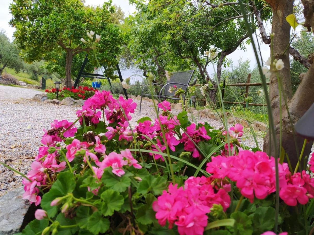 Casa Rural El Bonito Cazalla de la Sierra Kültér fotó
